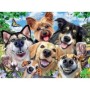 Puzzle Selfie Cu Catelusi, 500 Piese Ravensburger - 1